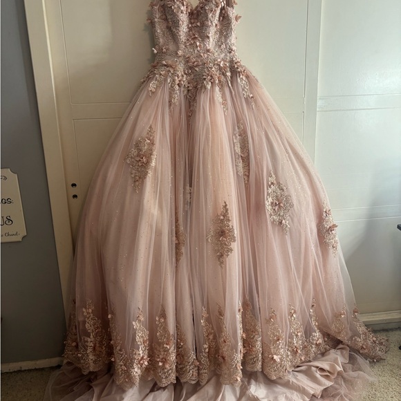 Dresses & Skirts - Elegant Pink Embellished Gowns